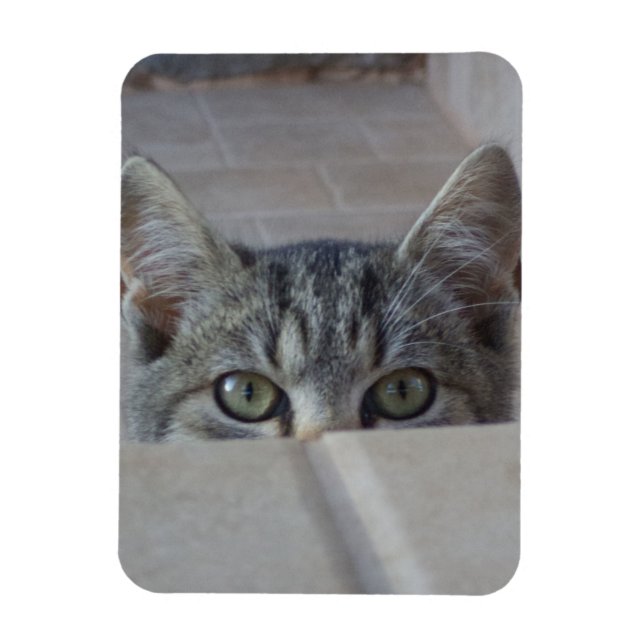 Magnet Flexible Petit chaton (Vertical)