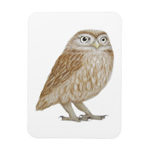 Magnet Flexible Petit hibou 2011