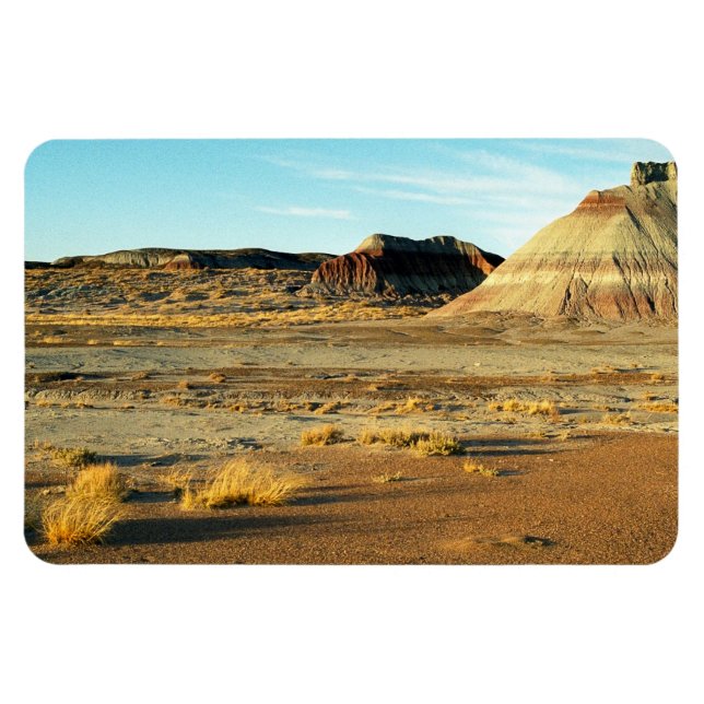 Magnet Flexible Petrified Forest Desert Arizona Paysage Photo (Horizontal)