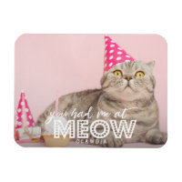 Photo Cat | Vous M'Avez Eu À Meow