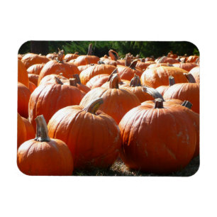 Magnet Flexible Photo citrouille pour automne, Halloween ou Thanks