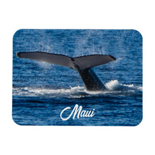 Magnet Flexible Photo de baleine à bosse sur Maui