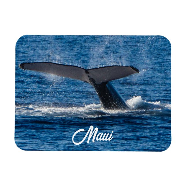 Magnet Flexible Photo de baleine à bosse sur Maui (Horizontal)