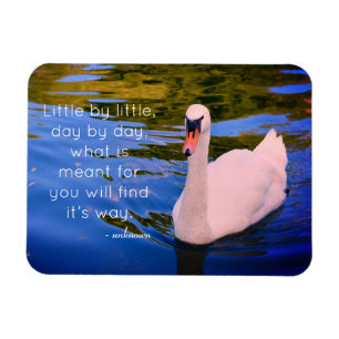Magnet Flexible Photo de cygne blanc avec citation motivationnelle
