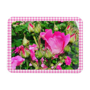 Magnet Flexible Photo de jardin de roses à carreaux gingham rose