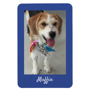 Magnet Flexible Photo de l'animal de compagnie ou photo et nom de 