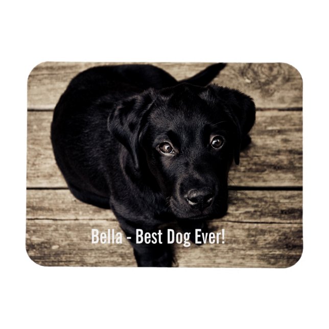Magnet Flexible Photo et nom du chien du Black Lab personnalisé (Horizontal)
