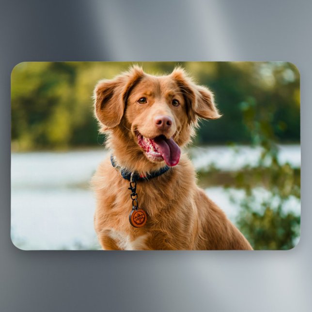 Magnet Flexible Photo personnalisée (Créateur téléchargé)