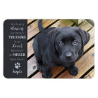 Photo pour animaux de compagnie - Photo pour chien