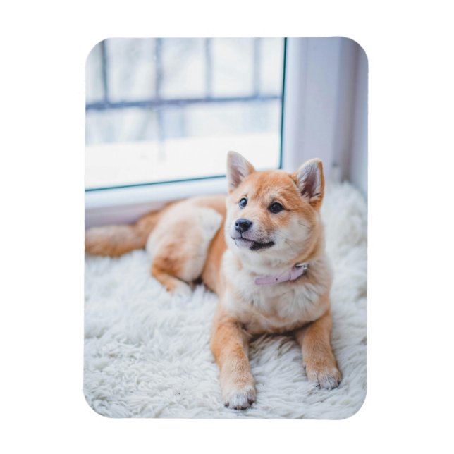 Magnet Flexible Photo simple personnalisée pour animal (Vertical)