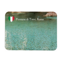Pièces de monnaie dans la fontaine de Trevi - Rome