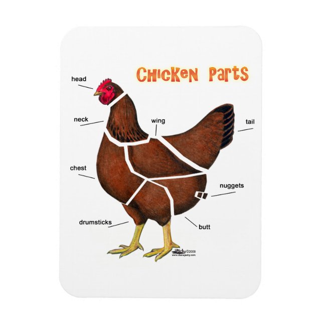 Magnet Flexible Pièces de poulet (Vertical)