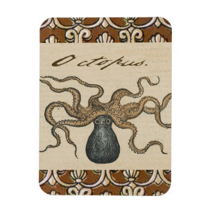 Magnet Flexible Pieuvre Kraken Antique Faune Marine Côtière