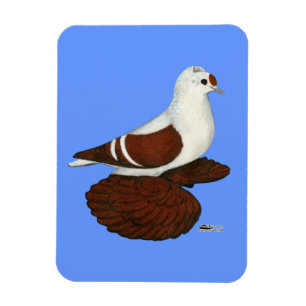 Magnet Flexible Pigeon à aile rouge
