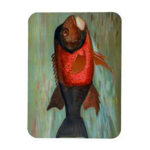 Magnet Flexible Pike de Sacramento par John L Petrie