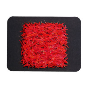 Magnet Flexible Piments
