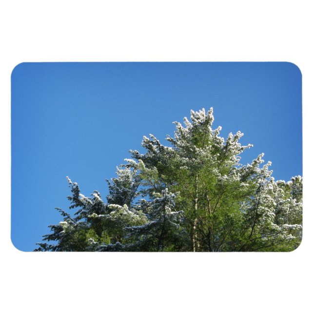 Magnet Flexible Pin à pointes de neige sur le ciel bleu (Horizontal)