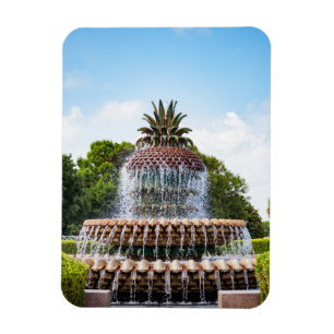 Magnet Flexible Pineapple Fountain à Charleston