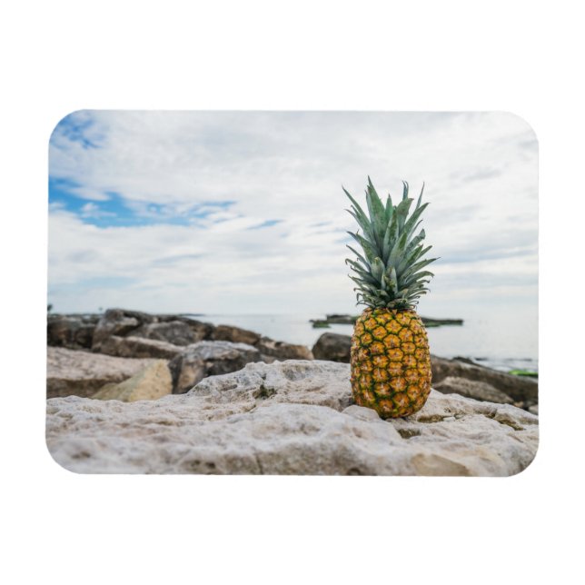 Magnet Flexible Pineapple tropicale (Horizontal)