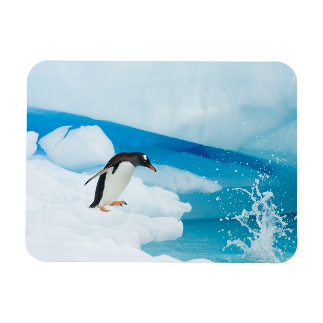 Magnet Flexible Pingouin doux, Pygoscelis Papouasie, sauter (Horizontal)