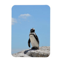 Pingouin mignonne unique et ciel bleu