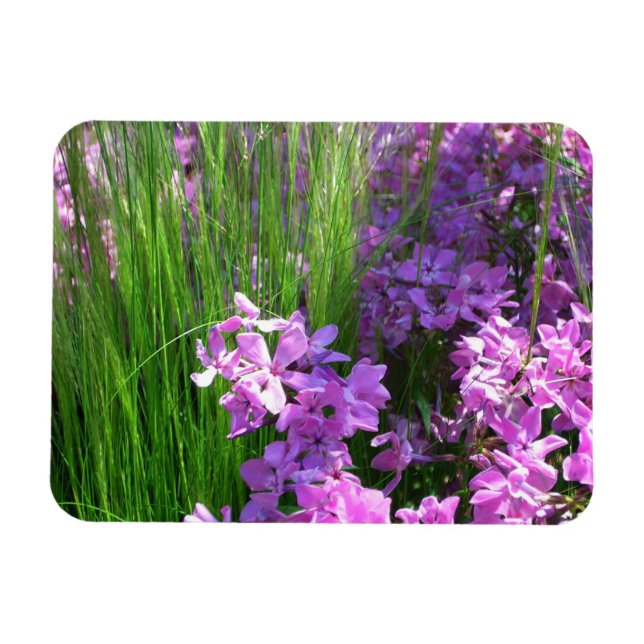 Magnet Flexible Pink Phlox et Grass été Floral (Horizontal)