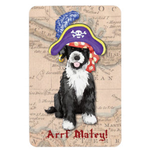 Magnet Flexible Pirate PWD