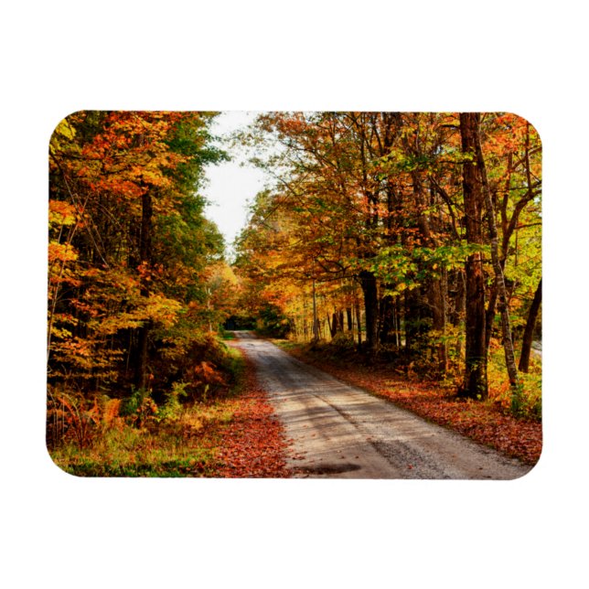 Magnet Flexible Piste de bois avec feuillage d'automne (Horizontal)