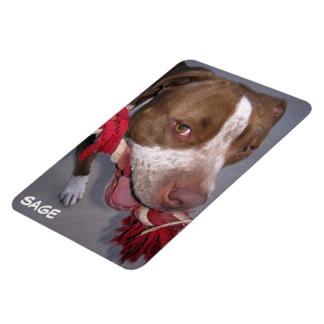 Magnet Flexible Pitbull pas cher (Côté Gauche)