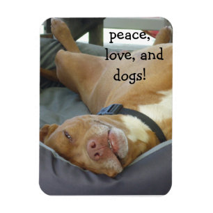 Magnet Flexible Pittbull Chien - Paix, Amour et Chiens