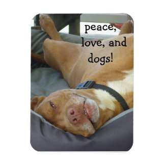 Magnet Flexible Pittbull Chien - Paix, Amour et Chiens