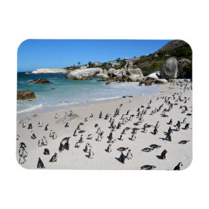 Magnet Flexible Plage   Afrique du Sud de rochers de pingouins