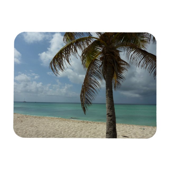 Magnet Flexible Plage d'Aruba I Belle Scène Nature (Horizontal)