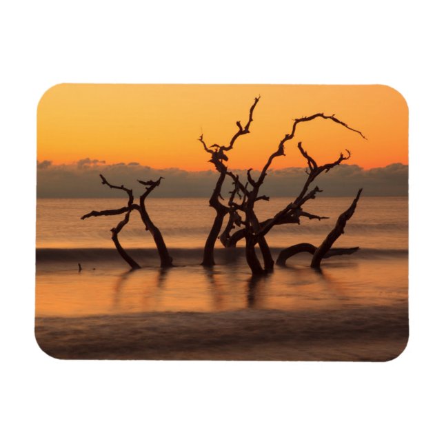 Magnet Flexible Plage de Driftwood à Sunrise Jekyll Island Georgia (Horizontal)