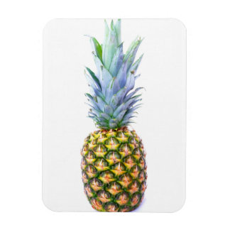 Magnet Flexible Plage de fruits d'ananas Dessert coloré Tropical