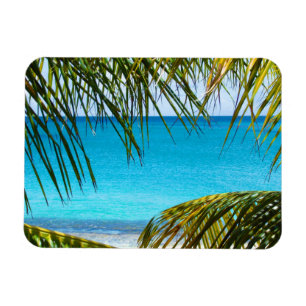 Magnet Flexible Plage tropicale encadrée de palmiers