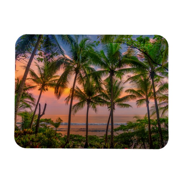 Magnet Flexible Plage tropicale | Parc national du Corcovado (Horizontal)