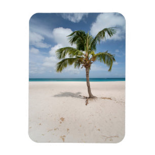 Magnet Flexible Plages tropicales   Eagle Beach, Aruba