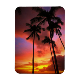 Magnet Flexible Plages tropicales   Maui Hawaii