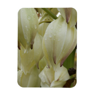 Magnet Flexible Plante du Yucca