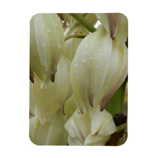 Magnet Flexible Plante du Yucca (Vertical)