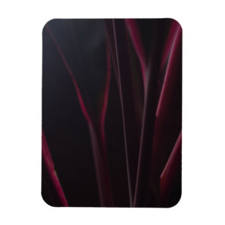 Magnet Flexible Plante Hawaïen Ti