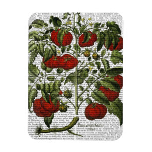 Magnet Flexible Plante tomate
