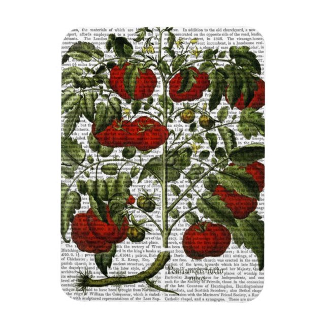 Magnet Flexible Plante tomate (Vertical)
