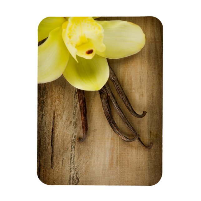 Magnet Flexible Pods de vanille et fleurs sur Arrière - plan en bo (Vertical)