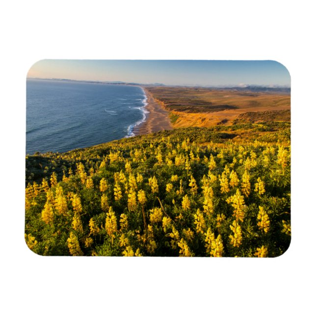 Magnet Flexible Point Reyes National Seashore California (Horizontal)