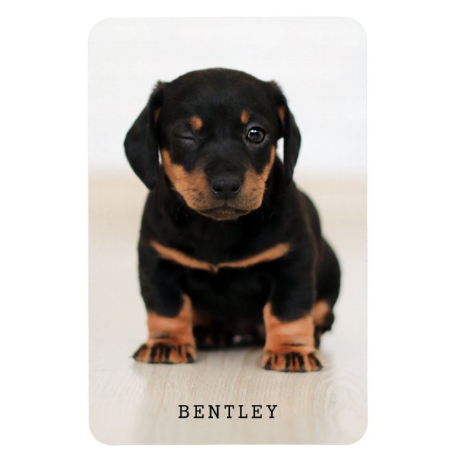 Magnet Flexible Pointeur photo simple et moderne| Noir (Vertical)