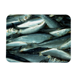 Magnet Flexible Poisson
