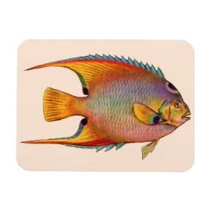 Magnet Flexible poisson-ange