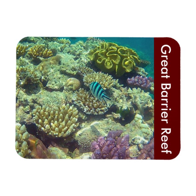 Magnet Flexible poisson barrière (Horizontal)